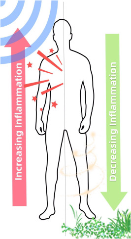 earthingdiagram